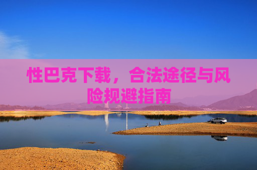 性巴克下载，合法途径与风险规避指南