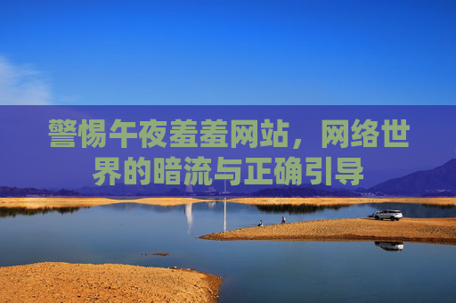 警惕午夜羞羞网站，网络世界的暗流与正确引导