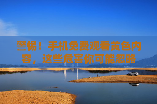 警惕！手机免费观看黄色内容，这些危害你可能忽略