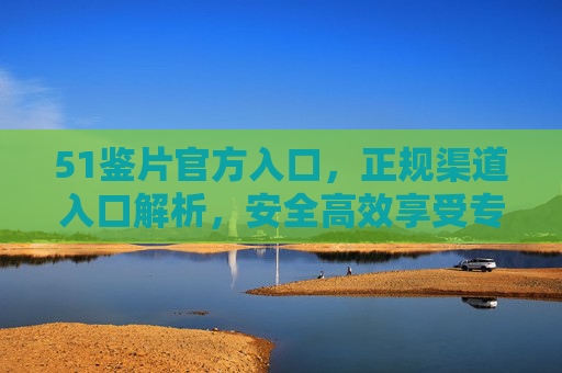 51鉴片官方入口，正规渠道入口解析，安全高效享受专业鉴片服务
