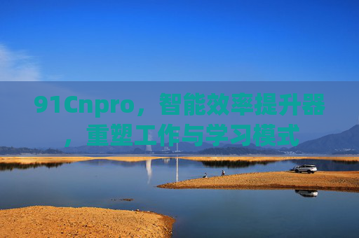 91Cnpro，智能效率提升器，重塑工作与学习模式