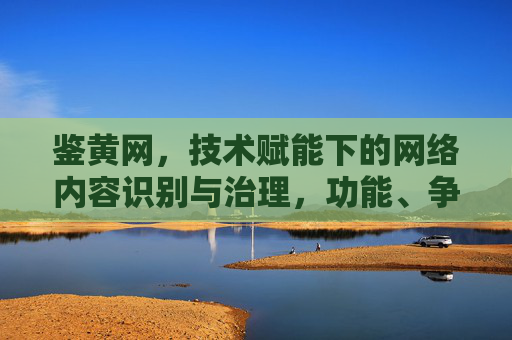 鉴黄网，技术赋能下的网络内容识别与治理，功能、争议与未来方向