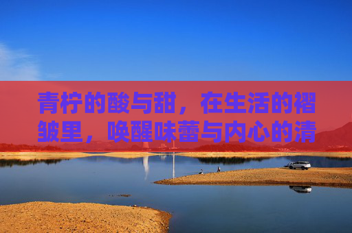 青柠的酸与甜，在生活的褶皱里，唤醒味蕾与内心的清新