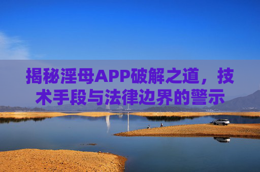 揭秘淫母APP破解之道，技术手段与法律边界的警示
