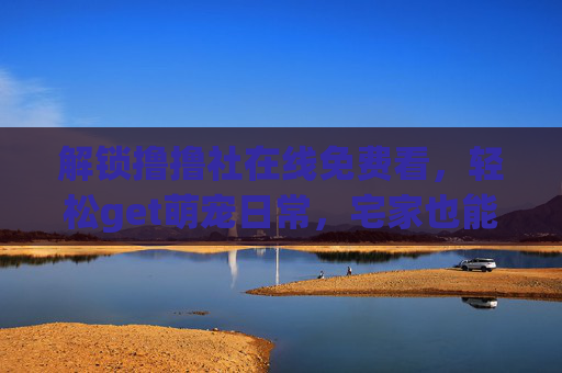 解锁撸撸社在线免费看，轻松get萌宠日常，宅家也能享萌趣时光