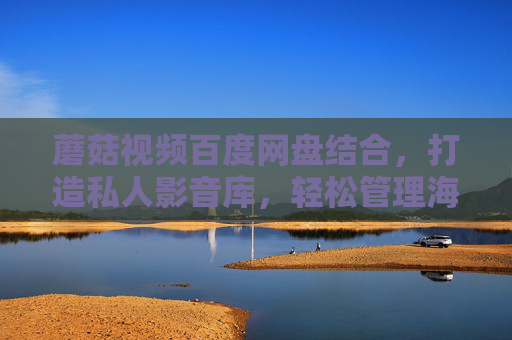 蘑菇视频百度网盘结合，打造私人影音库，轻松管理海量影视资源