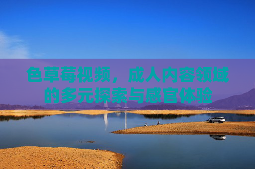 色草莓视频，成人内容领域的多元探索与感官体验