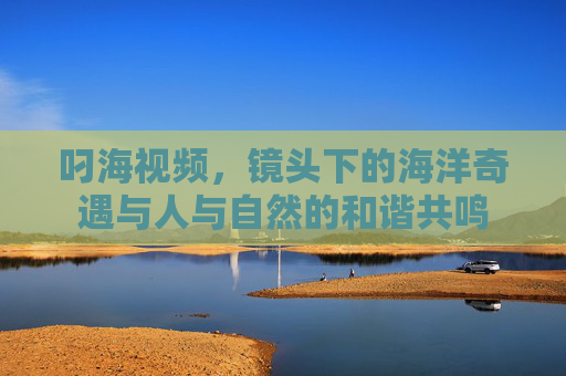 叼海视频，镜头下的海洋奇遇与人与自然的和谐共鸣