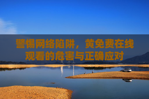 警惕网络陷阱，黄免费在线观看的危害与正确应对