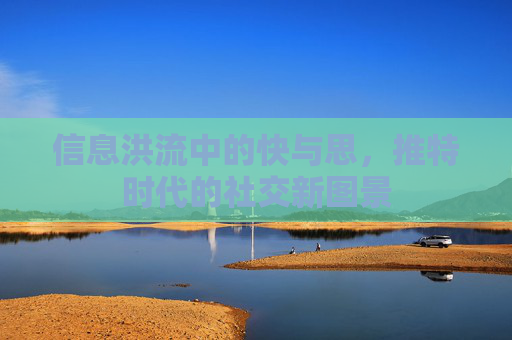 信息洪流中的快与思，推特时代的社交新图景