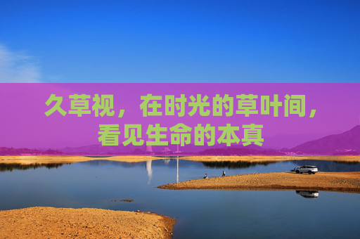 久草视，在时光的草叶间，看见生命的本真