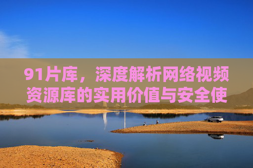 91片库，深度解析网络视频资源库的实用价值与安全使用指南