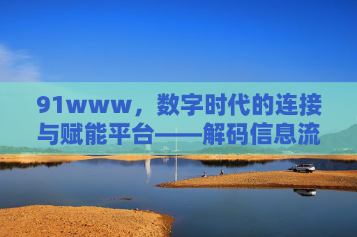 91www,数字时代的连接与赋能平台——解码信息流与用户价值的创新实践