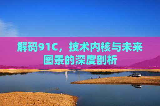 解码91C，技术内核与未来图景的深度剖析