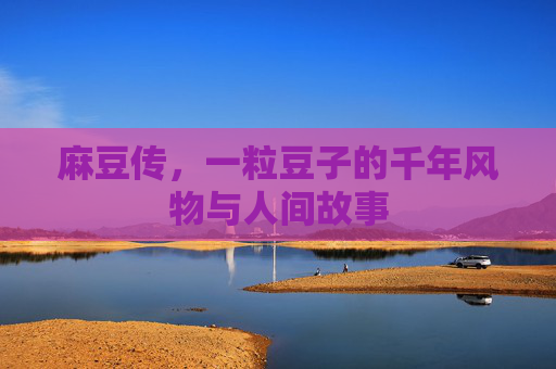 麻豆传，一粒豆子的千年风物与人间故事