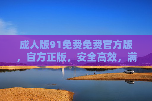 成人版91免费免费官方版,官方正版,安全高效,满足您的上网需求