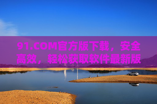 91.COM官方版下载，安全高效，轻松获取软件最新版本