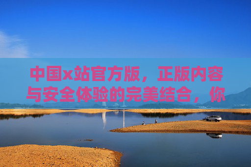 中国x站官方版，正版内容与安全体验的完美结合，你的专属优质内容平台