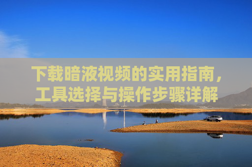 下载暗液视频的实用指南，工具选择与操作步骤详解