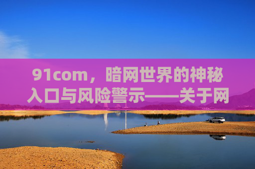 91com，暗网世界的神秘入口与风险警示——关于网络深海的探索与反思