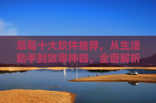 草莓十大软件推荐，从生活助手到效率神器，全面解析实用工具