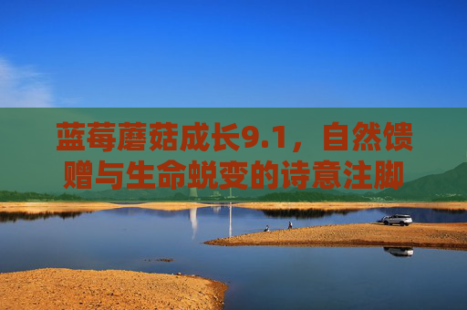 蓝莓蘑菇成长9.1,自然馈赠与生命蜕变的诗意注脚