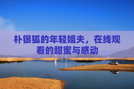 朴银狐的年轻姐夫,在线观看的甜蜜与感动