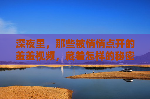深夜里，那些被悄悄点开的羞羞视频，藏着怎样的秘密？
