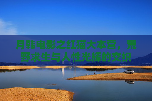 月韩电影之红猫大本营，荒野求生与人性光辉的交织