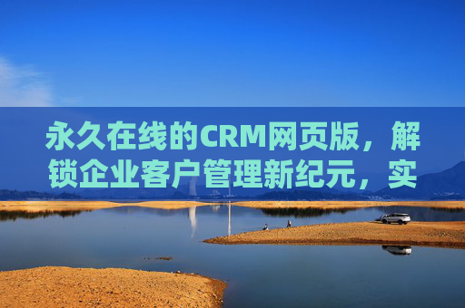 永久在线的CRM网页版，解锁企业客户管理新纪元，实现无间断业务增长