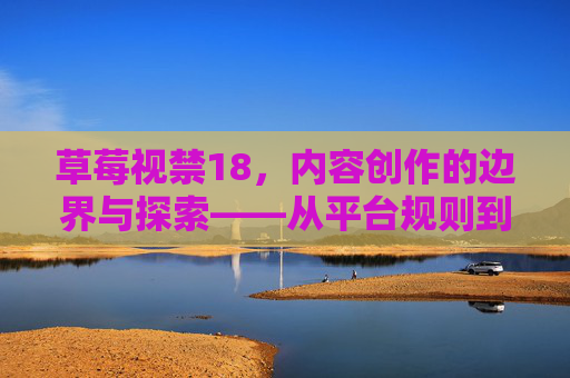 草莓视禁18，内容创作的边界与探索——从平台规则到艺术表达的多维审视
