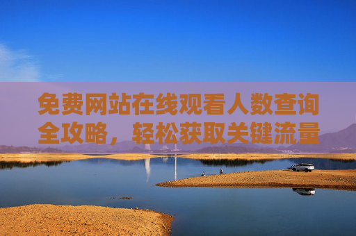 免费网站在线观看人数查询全攻略，轻松获取关键流量数据