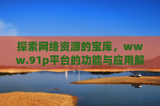 探索网络资源的宝库，www.91p平台的功能与应用解析