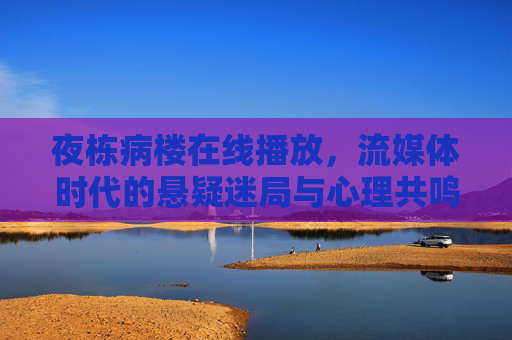 夜栋病楼在线播放，流媒体时代的悬疑迷局与心理共鸣