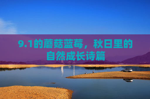 9.1的蘑菇蓝莓，秋日里的自然成长诗篇