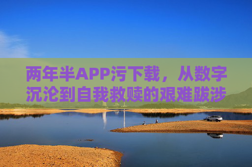 两年半APP污下载，从数字沉沦到自我救赎的艰难跋涉