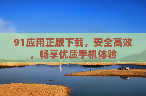91应用正版下载，安全高效，畅享优质手机体验
