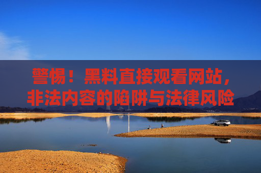 警惕！黑料直接观看网站，非法内容的陷阱与法律风险解析