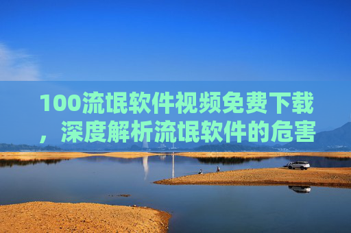 100流氓软件视频免费下载，深度解析流氓软件的危害与安全下载指南