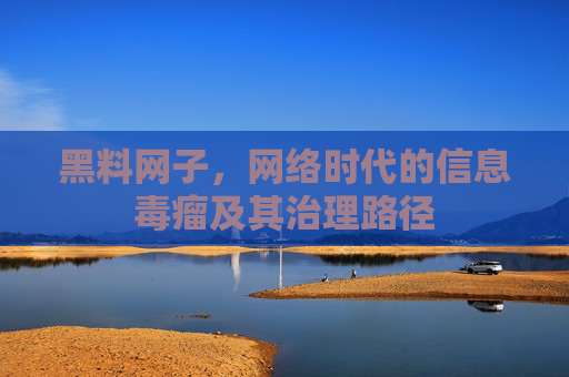 黑料网子，网络时代的信息毒瘤及其治理路径