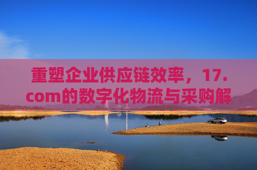 重塑企业供应链效率，17.com的数字化物流与采购解决方案