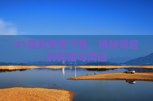 91黑料免费下载，揭秘背后的真相与风险