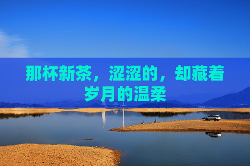 那杯新茶,涩涩的,却藏着岁月的温柔