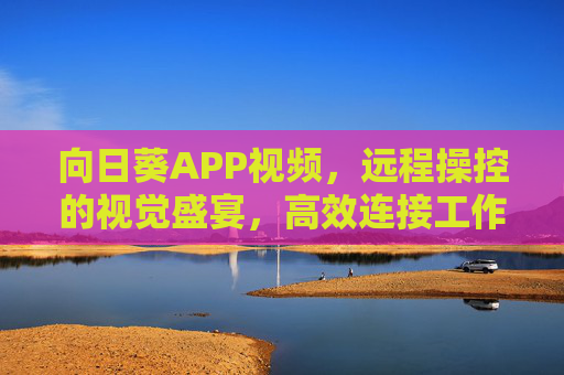 向日葵APP视频，远程操控的视觉盛宴，高效连接工作与生活的新选择
