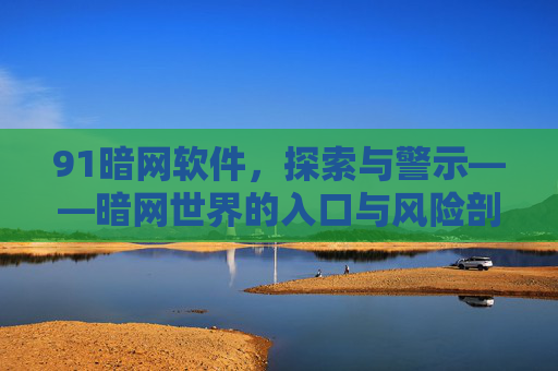 91暗网软件，探索与警示——暗网世界的入口与风险剖析