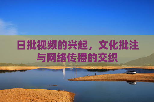 日批视频的兴起，文化批注与网络传播的交织