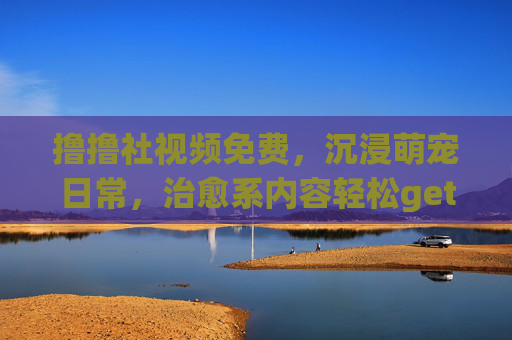 撸撸社视频免费，沉浸萌宠日常，治愈系内容轻松get