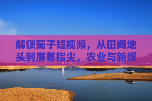 解锁茄子短视频,从田间地头到屏幕指尖,农业与新媒体的奇妙碰撞