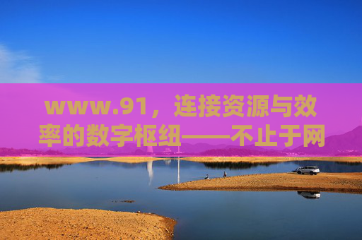www.91，连接资源与效率的数字枢纽——不止于网址，更懂你的需求