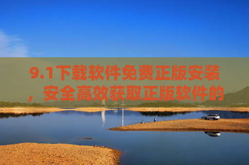 9.1下载软件免费正版安装，安全高效获取正版软件的实用指南